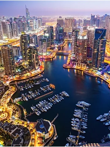 Produit Dubaï la Nuit Image