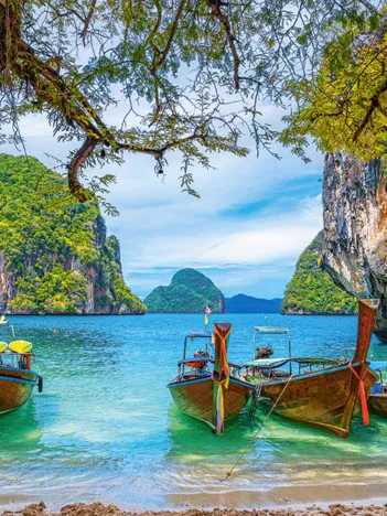 Produit Magnifique Baie en Thaïlande Image