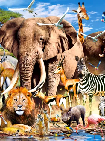 Produit Les Animaux de la Savanne Image