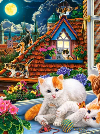 Produit Chatons sur le Toit Image