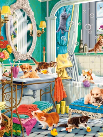 Produit Le Bain des Animaux de Compagnie Image