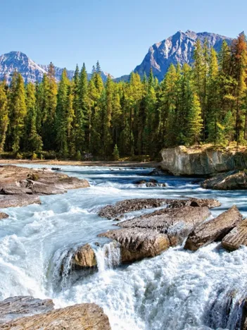 Produit Canada, Parc National de Jasper : Rivière Athabasca Image