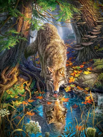 Produit Loup dans la Forêt Image