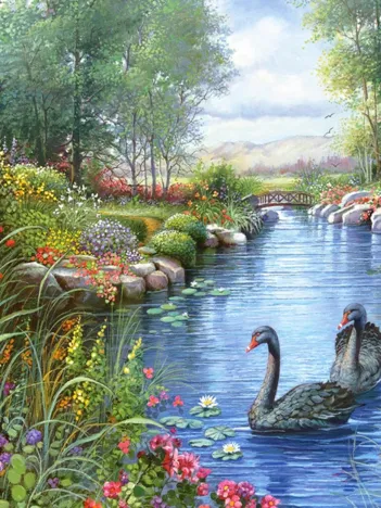 Produit Andres Orpinas : Les Cygnes Noirs Image