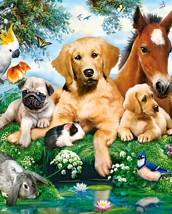 Produit Summer Pals Image