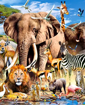 Produit Animaux de la Savanne Image