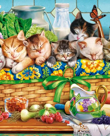 Produit Les Chatons à la Sieste Image