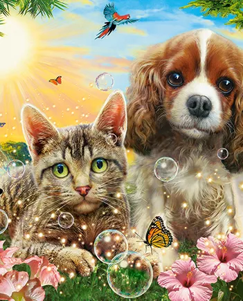 Produit Les Meilleurs Copains Image