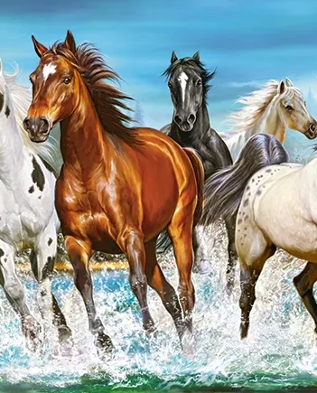 Produit Call of Nature Image