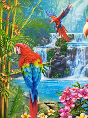 Produit Réunion de Perroquets Image