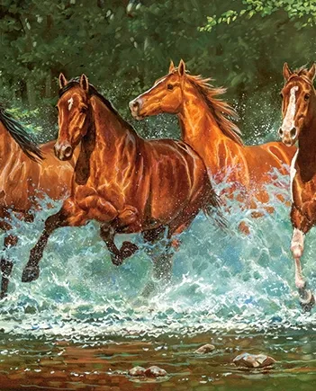 Produit Course de la Cascade Image