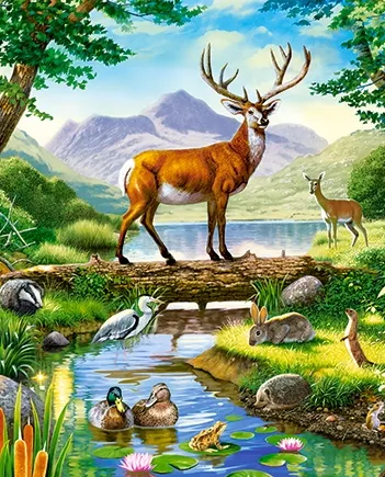 Produit Woodland Harmony Image