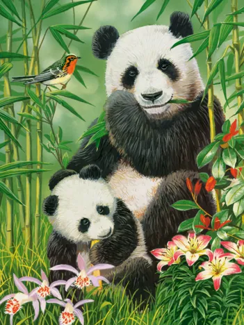 Produit Brunch des Pandas Image