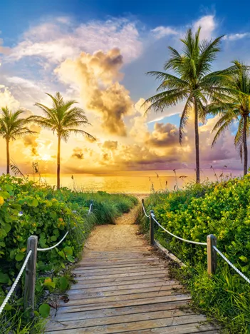 Produit Miami, USA Image