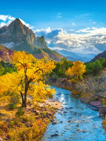 Produit Parc National Zion en Automne, USA Image