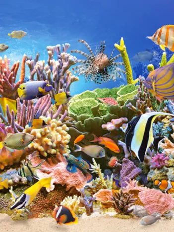 Produit La Vie Sous-Marine Image