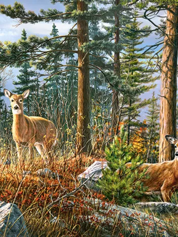 Produit Famille Royale de Cerfs Image