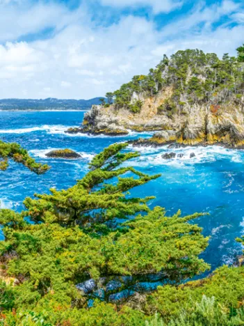 Produit Côte Californienne, USA Image