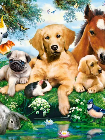 Produit Les Amis de l'Été Image