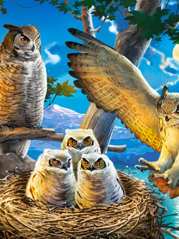 Produit Famille d'Hiboux Image