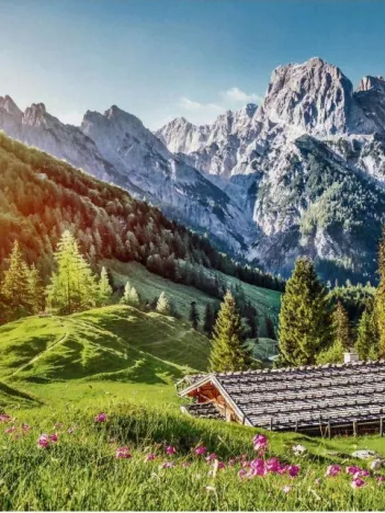 Produit Été dans les Alpes Image