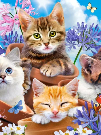Produit Chats avec Fleurs Image