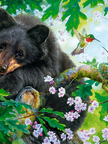 Produit L'Ours et les Colibris Image