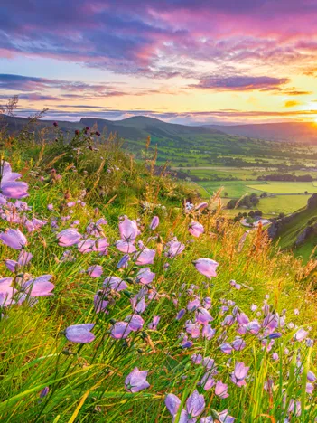 Produit Campagne au Lever du Soleil Image