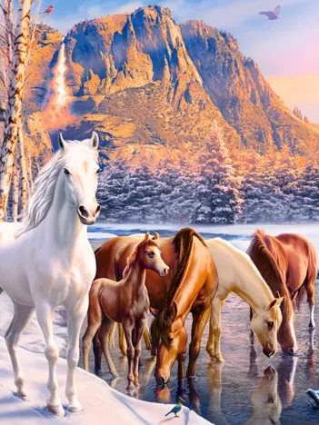 Produit Fonte d'Hiver Image