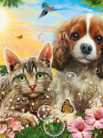 Produit Meilleurs Amis Image