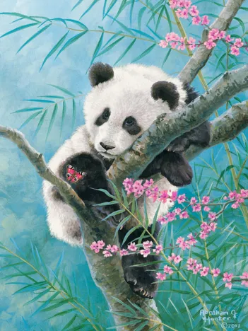 Produit Rêves de Bambous Image