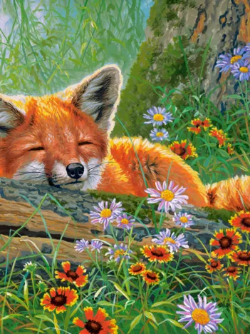 Produit Rêves de Renard Image