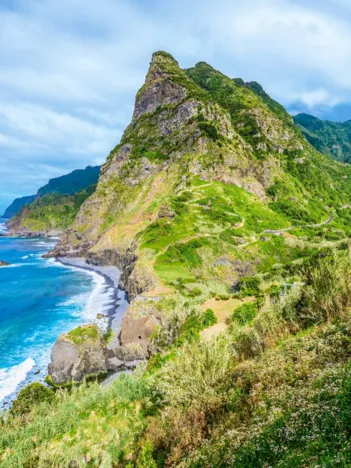 Produit Madère en Vert Image