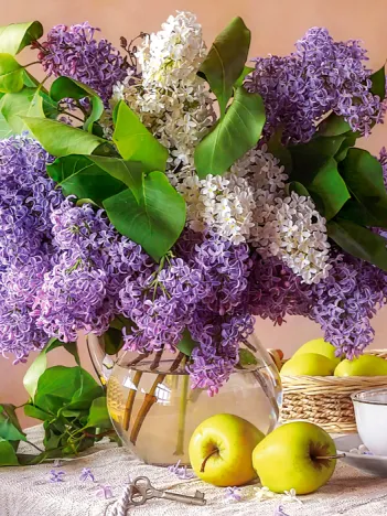 Produit Nature Morte Lilas Image