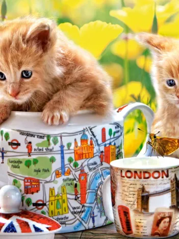 Produit L'Heure du Thé Image