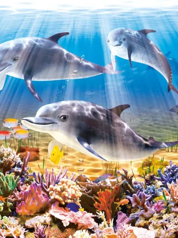 Produit Le Monde des Dauphins Image