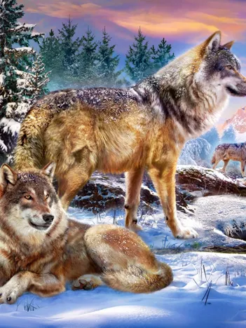 Produit Le Pays Merveilleux des Loups Image