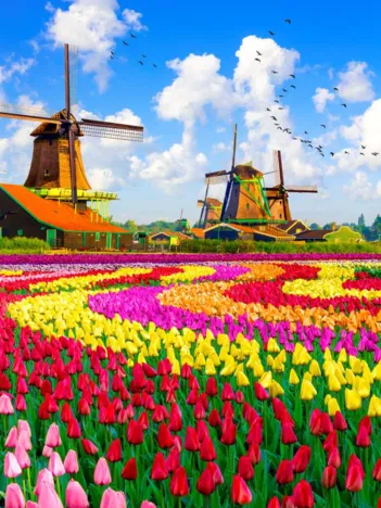 Produit Moulins à Vent Hollandais, Pays-Bas Image