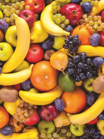 Produit Puzzle Difficile : Fruits Image