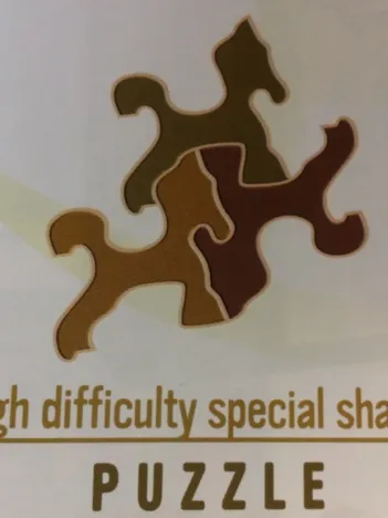 Produit Puzzle Spécial / Difficile : Cheval Haflinger n°1 Image