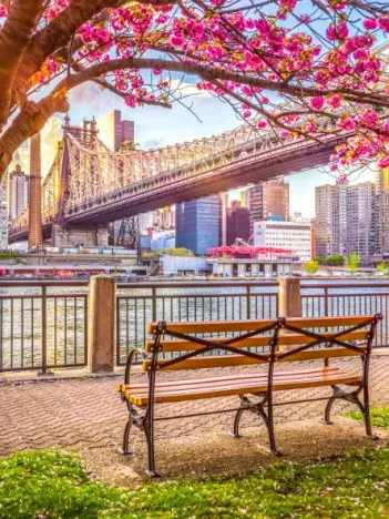 Produit New York, États-Unis Image