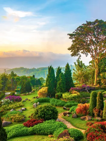 Produit Jardin sur la Colline Image