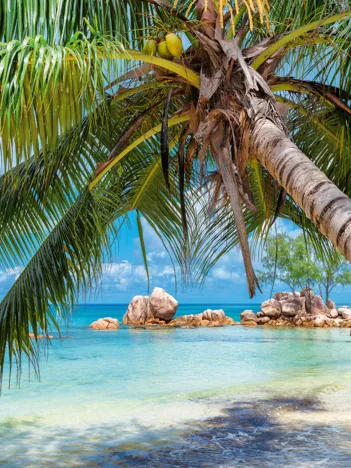 Produit Plage Tropicale Image