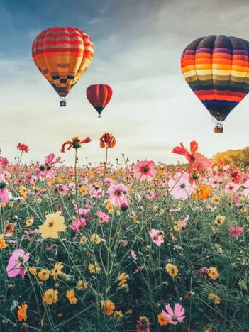 Produit Champ de Montgolfières Image