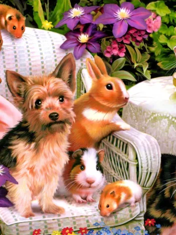 Produit Buds and Bloom Image