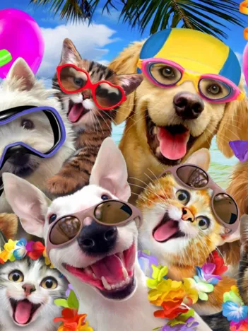 Produit Selfie Beach Party Image