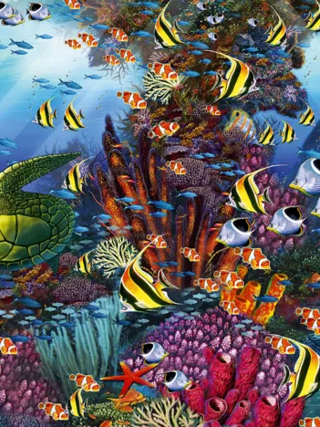 Produit Le Récif dans le Détail Image