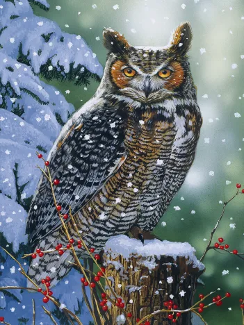 Produit Hibou Silencieux Image