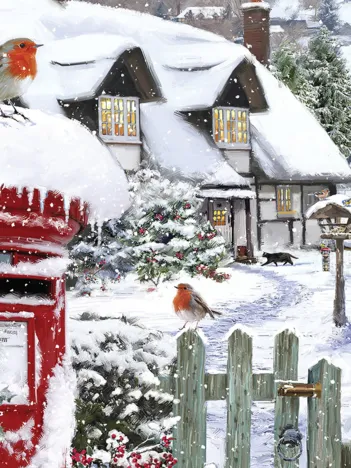 Produit Rouge-Gorge dans la Neige Image