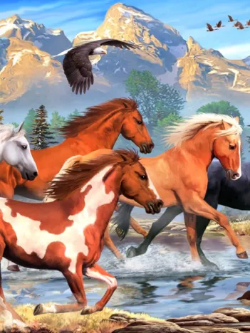 Produit Wild and Free Image